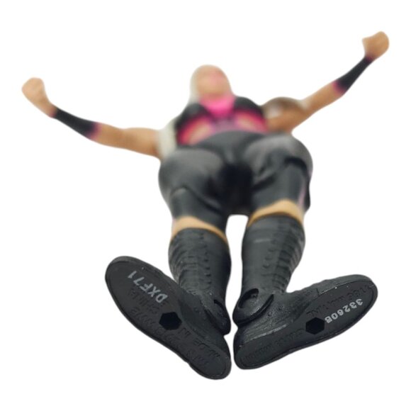 WWE Dana Brooke Wrestling Action Figure 6.25" Toy Loose 2013 Mattel - Picture 10 of 12